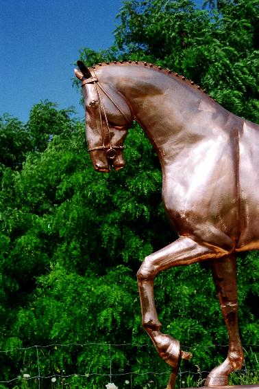 Equine Sculpture. Copyright FM Enterprises Inc. all rights reserved